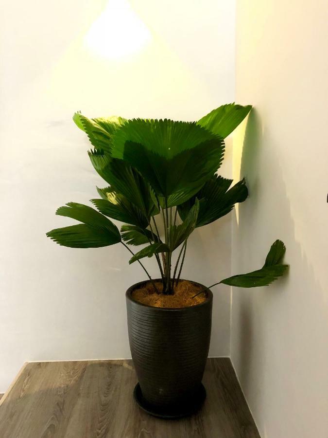 Minimalist Duplex @ Petaling Jaya & Sunwayアパートメント エクステリア 写真